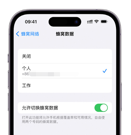 林芝苹果维修服务分享如何在iPhone上使用双卡 